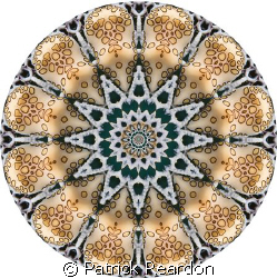 "Kaleidoscopic" image made from a shot of a flamingo tongue. by Patrick Reardon 